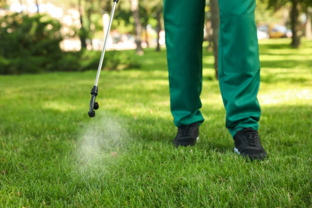 Reliable Bethesda, MD Pest Control Solutions
