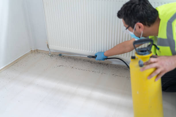 Best Pest Removal Services  in Bethesda, MD
